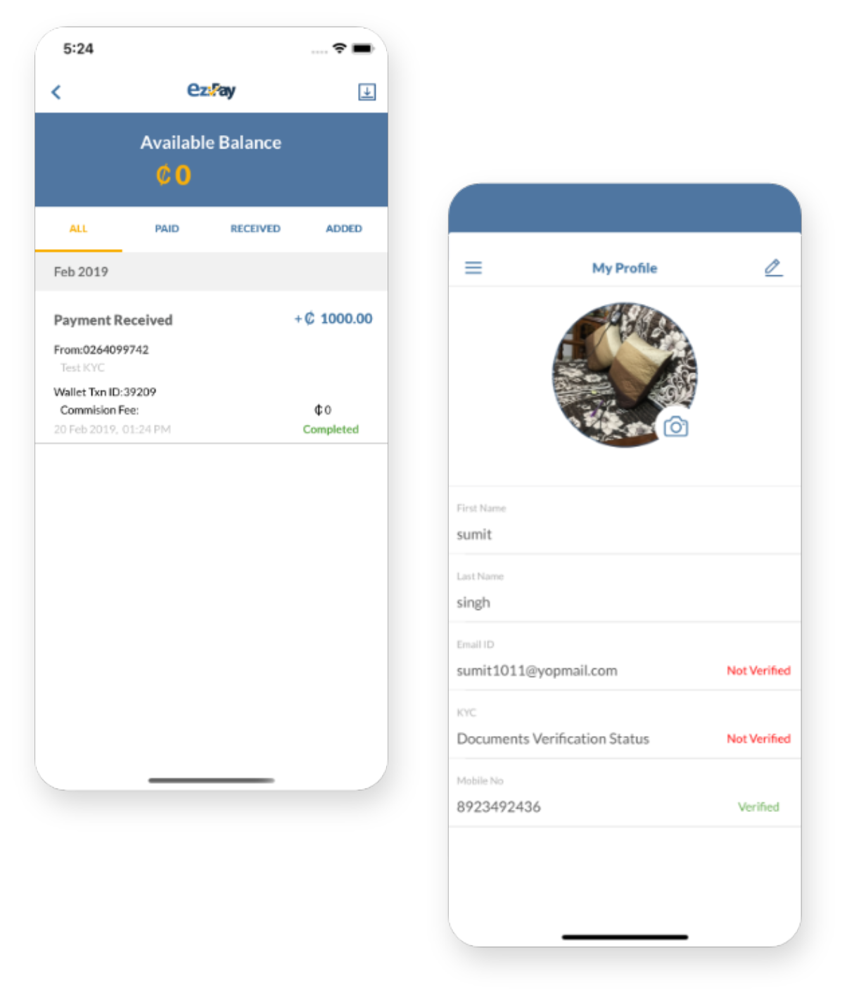 Easy payment App